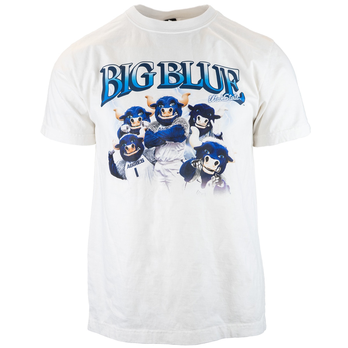 Big Blue Collage Unisex Graphic T-Shirt white